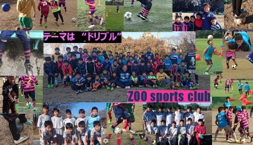 ZOO SPORTS CLUB